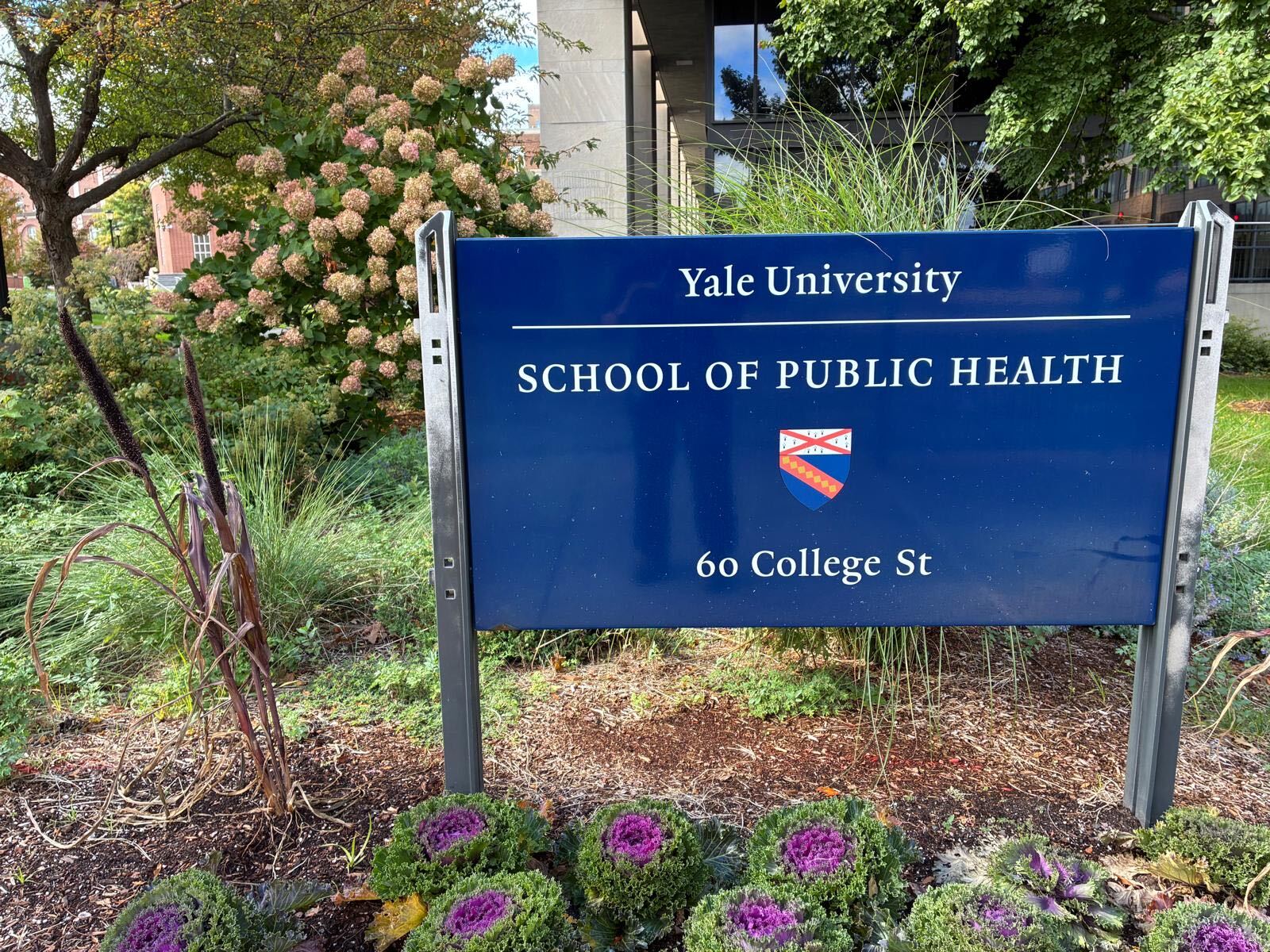 The blue Yale University School of Public Health sign at 60 College Street, with plants in front of it.